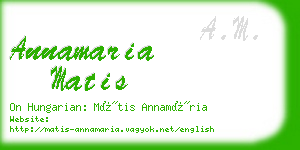 annamaria matis business card